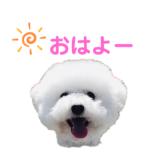 [LINEスタンプ] しろぷー 福スタンプ2