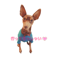 [LINEスタンプ] 大好き❤はなちゃん