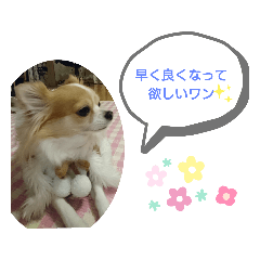 [LINEスタンプ] チャロわん2