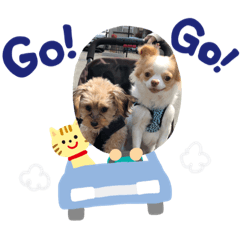 [LINEスタンプ] とむそん＆ちょこん