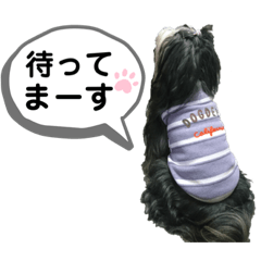 [LINEスタンプ] モフモフチベタンズのスタンプ