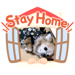 [LINEスタンプ] らんらんらんたんのすたんぷ
