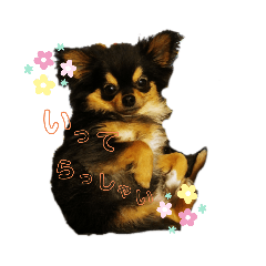 [LINEスタンプ] 癒されマロン②