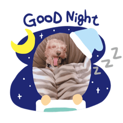 [LINEスタンプ] マルプーLouisの日常2♪