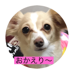 [LINEスタンプ] はなちゃん第二弾