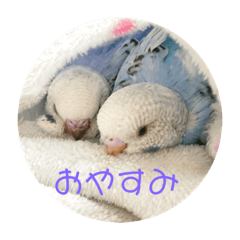 [LINEスタンプ] インコ大好き