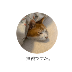 [LINEスタンプ] さぶろうだぞう