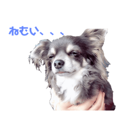 [LINEスタンプ] あずきなこもか