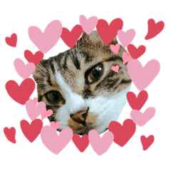 [LINEスタンプ] にゃみちゃん