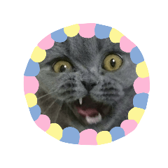 [LINEスタンプ] 猫のグーちゃん