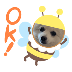 [LINEスタンプ] はくもか
