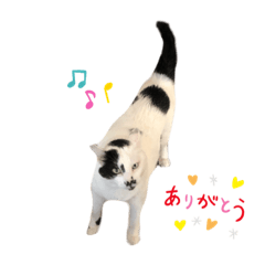 [LINEスタンプ] まくら時々ふとん