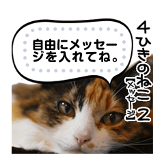 [LINEスタンプ] 4匹の猫のメッセージスタンプ2の画像（メイン）