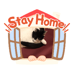 [LINEスタンプ] 猫のプッチとみかん元気かな