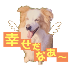 [LINEスタンプ] くー太のスタンプ2