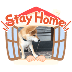 [LINEスタンプ] ぎん太スタンプ芝犬