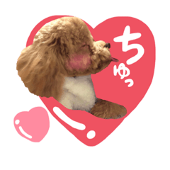 [LINEスタンプ] トイプードル〜lion〜❹
