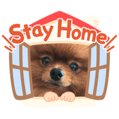 [LINEスタンプ] うちのPOME