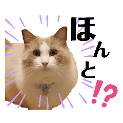 [LINEスタンプ] セイジとレモン