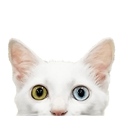 [LINEスタンプ] 王族に愛された猫