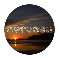 [LINEスタンプ] まさちゅーせっちゅ集