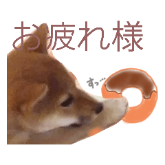 [LINEスタンプ] うちのペットすたんぷ