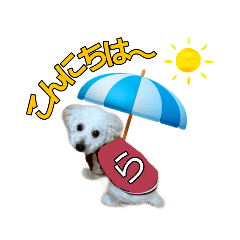 [LINEスタンプ] らいとの大冒険