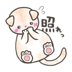 [LINEスタンプ] ねこスタンプ～百合ver.～