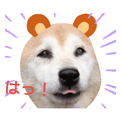 [LINEスタンプ] はなちゃんほっこりスタンプ