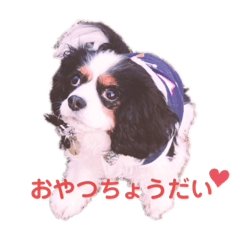 [LINEスタンプ] アロンジェ