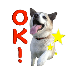 [LINEスタンプ] Johnnyのスタンプ 2