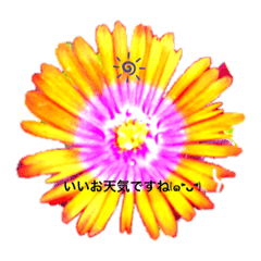 [LINEスタンプ] 気持ちを伝える時に使いたい