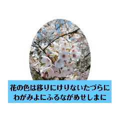 [LINEスタンプ] 和歌わか