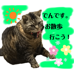 [LINEスタンプ] でんちゃんスタンプ5