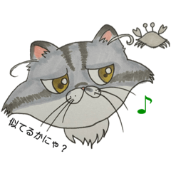 [LINEスタンプ] エキゾチックロングヘア