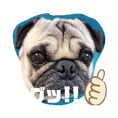 [LINEスタンプ] パグのポコちゃん2