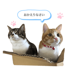 [LINEスタンプ] ポポとカリンの日常