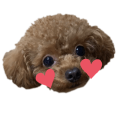 [LINEスタンプ] みるきーすたーく