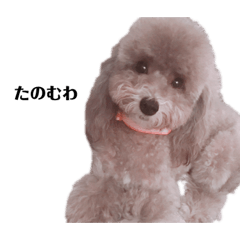 [LINEスタンプ] シェリカス