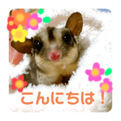 [LINEスタンプ] フクモモのタロの日常