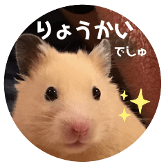 [LINEスタンプ] キンクマハムスターぼんたの丸いスタンプ