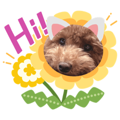 [LINEスタンプ] 甘えん坊マロンちゃん