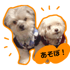 [LINEスタンプ] みーるー＆あーるースタンプ