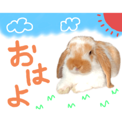 [LINEスタンプ] ぷーちんの日常