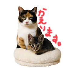 [LINEスタンプ] なっつとあお