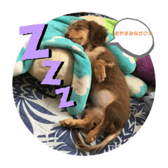 [LINEスタンプ] チョコクロ