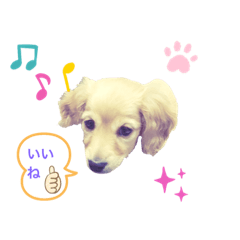 [LINEスタンプ] むぎスタンプ-1