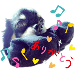 [LINEスタンプ] ケン＆マーちゃん2