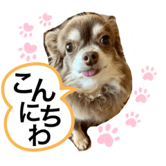 [LINEスタンプ] とまスタンプ1