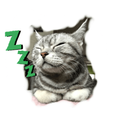 [LINEスタンプ] Cats ぽん！